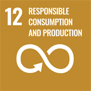 Objetivo de Desenvolvimento Sustentável 12 da ONU - Consumo e Produção Responsáveis