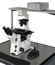 Mikropositionierung in der Mikroskopie